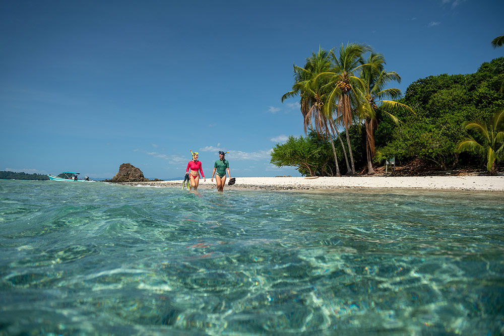 People snorkeling